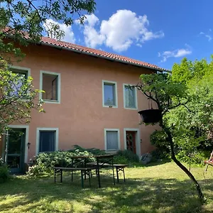 Garden Budapest